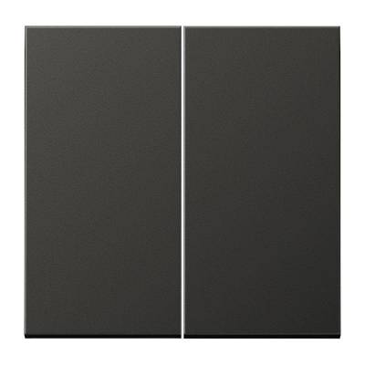 Klawisz podwójny do ściemniacza, antracytowy