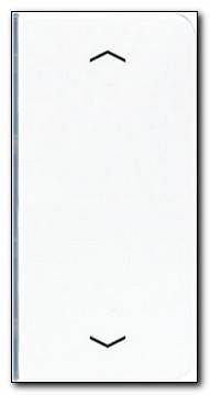 Klawisz 2-krotny z symbolem