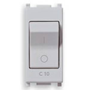 Wyłącznik nadprądowy 1P+N, 120-230V, C10, 1M, srebrny