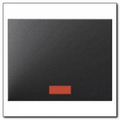 Klawisz z 5 dołączonymi soczewkami; antracyt mat, lakierowany; K.1 Numer katalogowy: 14157006