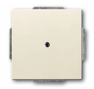 Pokrywa z pierścieniem nośnym