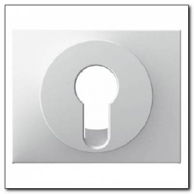 Element centralny do łącznika na klucz; śnieżnobiały; K.1 Numer katalogowy: 15057009