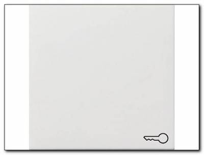 Klawisz symbol klucza Gira F100 biały