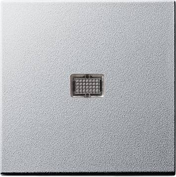 Klawisz duże okienko kontr. System 55 kolor alu