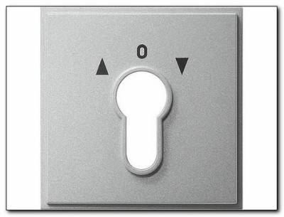 Osłona wył. na klucz Gira TX_44 (IP 44) kolor alu