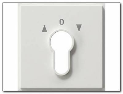 Osłona wył. na klucz Gira TX_44 (IP 44) biały