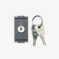 2P 16AX 1-way switch +000-key grey